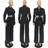 EVE Solid Color Long Sleeve Wide Leg Pants 2 Piece Set FOSF-8370