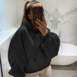 EVE Plus Size Padded Thicker Long Sleeve Solid Color Hooded Sweatshirt YIM-022