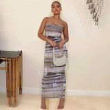 EVE Sexy Print Slim Tube Tops Maxi Dress GNZD-7914DG