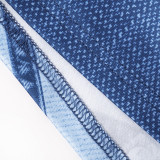 EVE Denim Print Slim Long Sleeve Maxi Dress GSZM-D23DS055