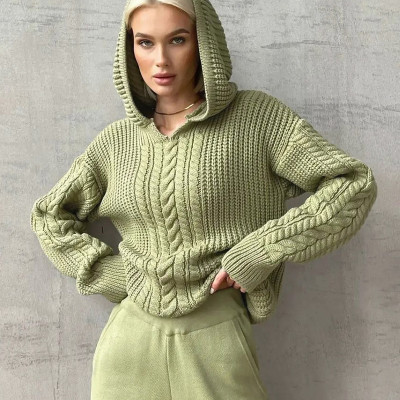 EVE Fashion Hooded Long Sleeve Knit Sweater BLG-T3713479A