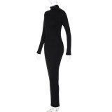 EVE Solid Color High Neck Slim Maxi Dress BLG-D2810029K