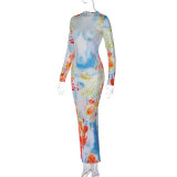 EVE Long Sleeve Print Slim Maxi Dress BLG-D3512748A