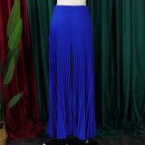 EVE Fashion Press Pleated Wide Leg Pants GCZF-8536