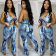 EVE Sexy Print Sleeveless Backless 2 Piece Pants Set FSXF-596