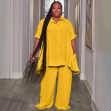 EVE Plus Size Solid Color Loose Two Piece Pants Set NNWF-7994