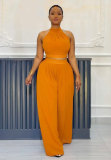 EVE Pleated Sleeveless Tops Wide Leg Pants 2 Piece Set NY-10773