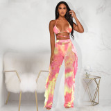 EVE Printed Mesh Nightclub Two Piece Pants Set (Without Panties ) TE-4676