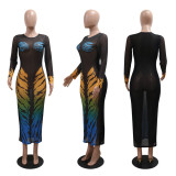 EVE Print See Through Long Sleeve Mesh Maxi Dress CYA-901179