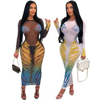 EVE Print See Through Long Sleeve Mesh Maxi Dress CYA-901179