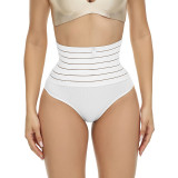 EVE Plus Size High Waisted Tummy Shapewear Panties GYWU-SH016