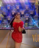 EVE Sequin Feather Splicing Tube Tops Dress NY-3176