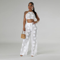 EVE Solid Color Tie Up See Through Two Piece Pants Set CYA-901294