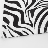 EVE Zebra Print Long Sleeve Top Slim Pants Set GAXB-A358ST