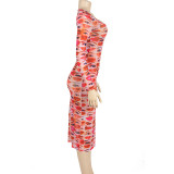 EVE See Through Mesh Print Long Dress GAXB-A199DS