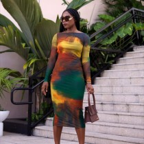 EVE Print Long Sleeve Slim Midi Dress GAXB-A201DS