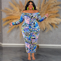 EVE Plus Size One Shoulder Print Long Sleeve Maxi Dress GDAM-218509