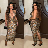 EVE Leopard Print Sleeveless Backless Maxi Dress BY-6982