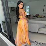 EVE Lace-up Sleeveless V-Neck Printed Long Dress CYA-CY901297