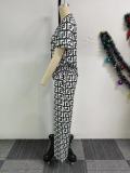 EVE Print V Neck Wide Leg Pants Two Piece Set NY-10870
