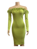 EVE Bustless One-shoulder Feather Long Dress GADE-2934