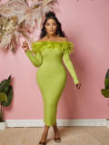 EVE Bustless One-shoulder Feather Long Dress GADE-2934