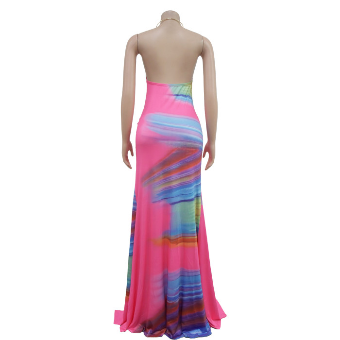 EVE Print V Neck Backless Halter Maxi Dress BY-7006