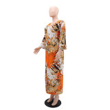 EVE V Neck Long Sleeve Print Dress GYLY-10515