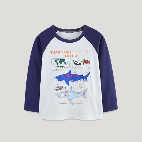 EVE Kids Boys Print Color Block T Shirt GASD-5373