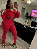 EVE Hooded Long Sleeve Drawstring Tops Pants Suit CH-HR24059