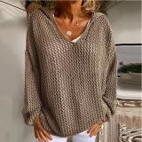 EVE Hooded Loose Sweater Sunscreen Clothing GBLH-6039#