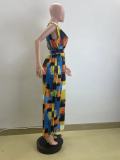 V Neck Print Sleeveless Wide Leg Jumpsuit QOUY-M6041
