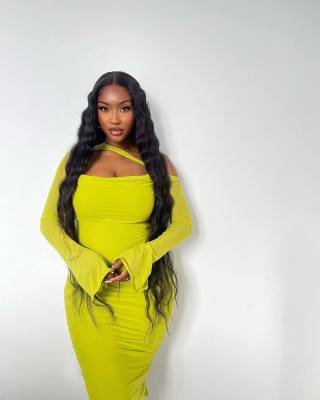 EVE Solid Color Long Sleeve Pleated Midi Dress QOUY-M6003