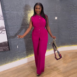 EVE Sleeveless Lace-Up Top Wide Leg Pants Set GCNE-7418