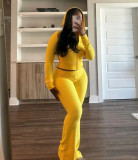 EVE Rib Zipper Hooded Flare Pants Two Piece Set LSD-2277