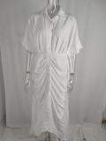 EVE Plus Size Lapel Neck Print Shirt Dress GRST-8651-22037