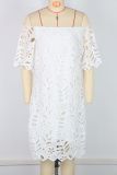 EVE Solid Hollow Out Lace Off Shoulder Midi Dress GWDS-241010