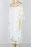 EVE Solid Hollow Out Lace Off Shoulder Midi Dress GWDS-241010
