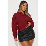 EVE Fashion Lapel Solid Color Long Sleeve Knits Sweater ASL-6762