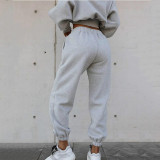 EVE Hooded Sweatshirt Coat Pants Solid 2 Piece Set YMZY-1939