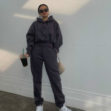 EVE Hooded Sweatshirt Coat Pants Solid 2 Piece Set YMZY-1939