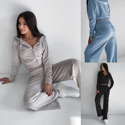 EVE Long Sleeve Hooded Sweatshirt Two Piece Pants Set YMZY-1941