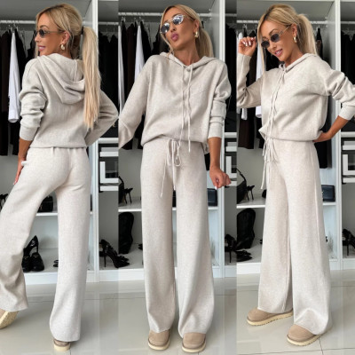 EVE Solid Hooded Sweatshirt Drawstring Wide Leg Pants Suit YMZY-912