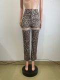 EVE Leoparf Print Hollow Out Rhinestone Pants QODY-6049