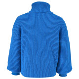 EVE Solid Color Knits High Collar Sweater GDAM-1020