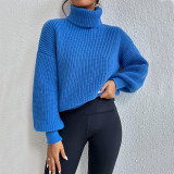 EVE Solid Color Knits High Collar Sweater GDAM-1020