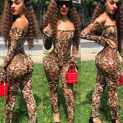 EVE Leopard Print Mesh Bodysuit Pants Suit GOSD-6190