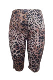 EVE Sexy Leopard Print Five-pointed Pants GFCF-1323