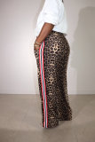 EVE Leopard Print Patchwork Stripe Pants QXLB-10115