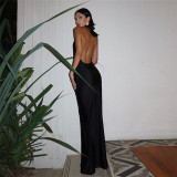 EVE Deep V Neck Backless Halter Maxi Dress GZJQ-K24D49108